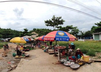 Chợ An Thới Phú Quốc: Mái tranh bình dị giữa quần đảo thơ mộng