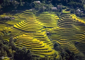 Tìm bình yên giữa núi rừng Hoàng Su Phì: Trải nghiệm nghỉ dưỡng tại homestay Thông Nguyên