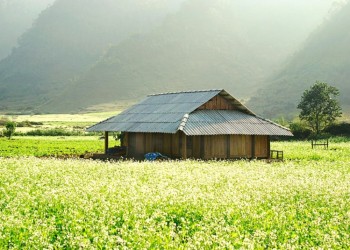 Khám phá Bản Thung Cuông tự túc: Kinh nghiệm chi tiết, cập nhật mới nhất