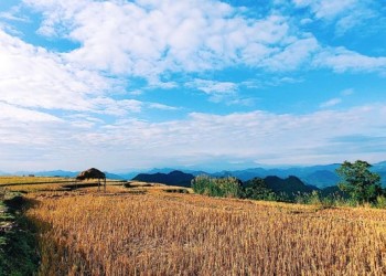 Mộc Châu: Hành trình rong ruổi cùng Thục Trang, khám phá vẻ đẹp thiên nhiên hùng vĩ và những trải nghiệm khó quên.