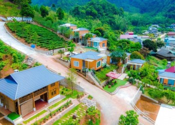 Homestay Mộc Châu: Ngôi nhà gỗ ấm cúng cho kỳ nghỉ dưỡng tuyệt vời