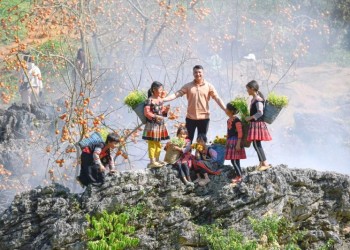 Mộc Châu tháng 12: Hành trình khám phá vẻ đẹp mùa đông lãng mạn