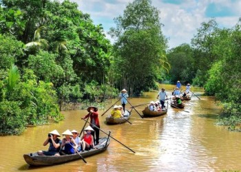 Khám phá miệt vườn Vĩnh Long: Cẩm nang du lịch chi tiết, từ A đến Z cho chuyến đi trọn vẹn.