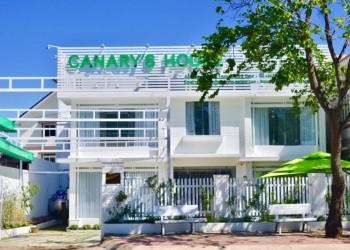 Canary House Đà Lạt: Nơi phố nhỏ bình yên, tràn ngập không gian xanh, là điểm đến lý tưởng cho những ai yêu thích sự tĩnh lặng và thiên nhiên.