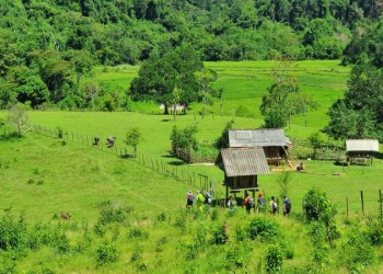 Thác K50 Gia Lai: Kỳ Vĩ, Hùng Vĩ Nơi Vùng Cao – Khám Phá Vẻ Đẹp Hoang Dã