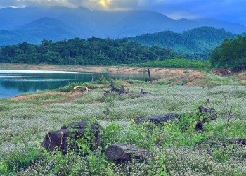 Thác Chuối Quảng Bình: Nét đẹp hoang sơ, thơ mộng, điểm đến hấp dẫn cho du khách yêu thiên nhiên.