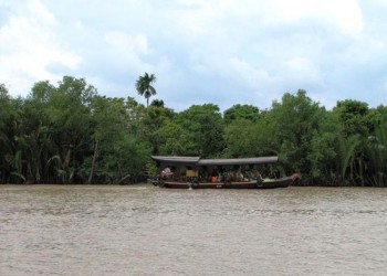 Cồn Quy Tiền Giang: Nơi bình yên giữa miền sông nước, điểm đến lý tưởng cho du khách yêu thích thiên nhiên và văn hóa.