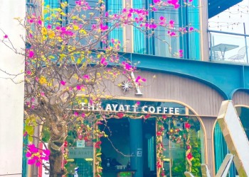 Cà phê Việt Nam Hiện Đại: Khám phá The Ayatt Coffee Quảng Bình