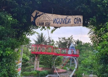 Farmstay Nguyễn Gia: Nơi nghỉ dưỡng lý tưởng, vui chơi thỏa thích