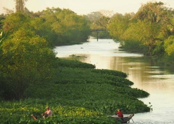 Khám phá Cù Lao Dài: Lắng nghe Làn Điệu Đờn Ca Tài Tử