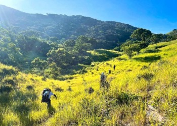 Khám phá Núi Chúa: Trekking 2 ngày 1 đêm trọn gói – Hành trình chinh phục đỉnh cao