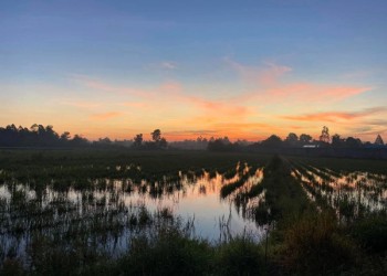 Khám phá An Giang qua hành trình cắm trại của Dương Nhật Quang