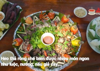 Heo Thả Rông Sóc Bom Bo – Đặc Sản Hấp Dẫn, Hương Vị Ngon Không Tường