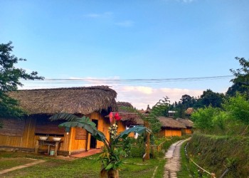 Hoàng Su Phì Bungalow: Trải nghiệm nghỉ dưỡng tuyệt vời, ngắm đồng lúa bậc thang đẹp như tranh vẽ tại Hà Giang.