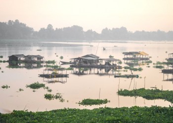 Búng Bình Thiên: Hồ Nước Trời Lớn Nhất Tây Nam Bộ, Biểu Tượng Cho Vẻ Đẹp Hoang Sơ Và Mê Hoặc