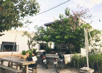 Thoải mái giữa thiên nhiên tại A Little Thing Bistro