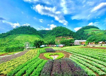 Mộc Châu Happy Land: Thiên đường vui chơi giải trí cho mọi lứa tuổi, điểm đến lý tưởng cho kỳ nghỉ gia đình.