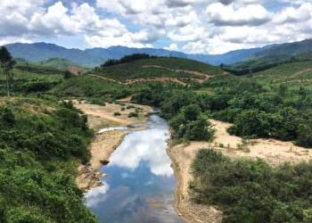 Bồng Lai giữa Quảng Bình: Khám phá Wild Boar Eco Farm