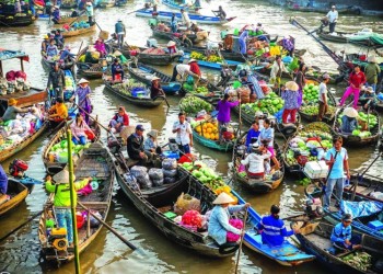 Khám phá Cần Thơ tiết kiệm: Kinh nghiệm du lịch cho túi tiền eo hẹp