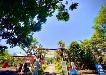 Coco Garden: Trốn ồn ào, tìm bình yên làng quê