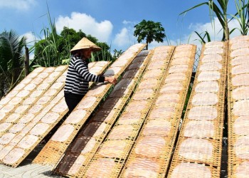 Bánh Tráng Trảng Bàng: Hương vị truyền thống, nét đẹp văn hóa Nam Bộ