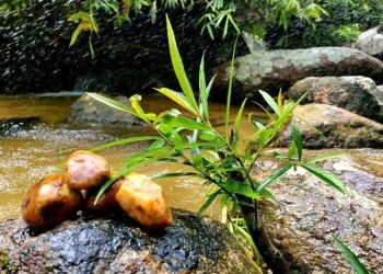 Làng Nhỏ – Hồ Láng Nhớt: Trốn ồn ào, tận hưởng bình yên gần Nha Trang