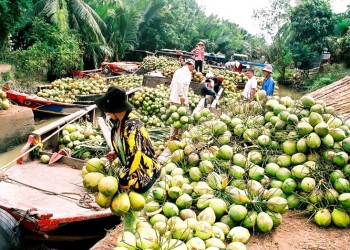 Lễ hội Dừa Bến Tre: Tôn vinh biểu tượng của vùng đất trù phú