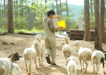 Zoodoo Phan Rang: Hành trình khám phá thế giới động vật độc đáo tại Ninh Thuận