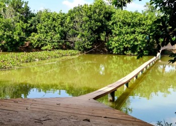 Cù Lao Mây Vĩnh Long: Nơi hoang sơ, mê hoặc du khách