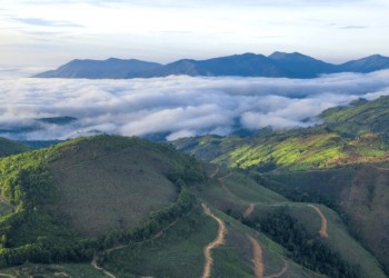 Núi Chư Hreng: Hòa Tấu Hoang Dã Giữa Lòng Kon Tum, Nơi Mê Hoặc Du Khách Bởi Vẻ Đẹp Hùng Vĩ Và Bí Ẩn