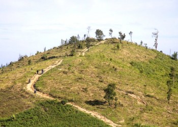 Săn Mây Huyền Bí Trên Nóc Nhà Tây Nguyên: Chinh Phục Chư Hreng, Kon Tum