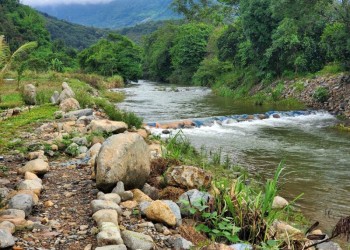 Suối Lâm Hà, Bảo Lộc: Viên ngọc quý ẩn mình giữa lòng Tây Nguyên, điểm đến hấp dẫn cho những tâm hồn yêu thiên nhiên.