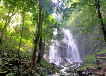 Thác Khỉ: Bí ẩn dòng chảy huyền diệu ẩn mình giữa đại ngàn