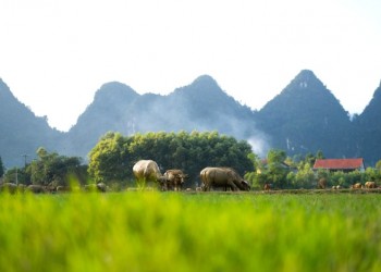 Hoàng hôn mùa đông Tân Hoá, Quảng Bình: Cảnh đẹp mê hồn, tô điểm cho khung cảnh thiên nhiên hùng vĩ.