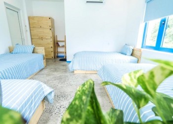 Homestay Hội An giá rẻ: Top 3 thiết kế ấn tượng, nghỉ dưỡng tuyệt vời