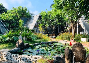 Homestay Mộc Châu lãng mạn cho cặp đôi: Top 3 lựa chọn tuyệt vời để tận hưởng kỳ nghỉ ngọt ngào