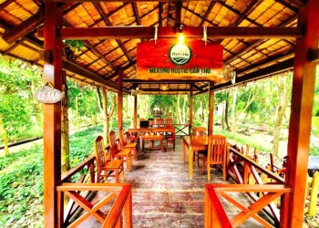 4 Homestay Miệt Vườn Cần Thơ: Thoáng Mát Giữa Lòng Vườn