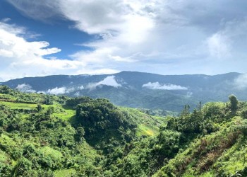 Nóc Nhà Tây Nguyên: Hành Trình Trekking Núi Ngọc Linh