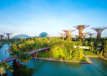 Gardens by the Bay: Kiệt tác nhân tạo lung linh tại Singapore