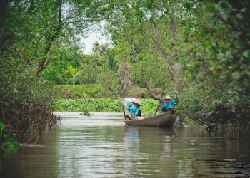 Cù Lao An Bình: Miệt Vườn Xanh Mát, Nét Duyên Miền Tây – Khám phá vẻ đẹp hoang sơ, thưởng thức đặc sản sông nước.