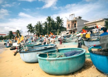 Xuân Hải: Làng chài yên bình giữa sắc hoa vàng rực rỡ trên nền cỏ xanh mướt