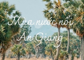 Mùa nước nổi An Giang: Sắc màu du lịch rạng rỡ, thu hút du khách khám phá miền Tây.