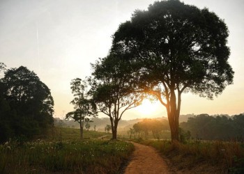 Khám phá vẻ đẹp hoang sơ của Khao Yai: Công viên quốc gia lớn thứ 3 Thái Lan