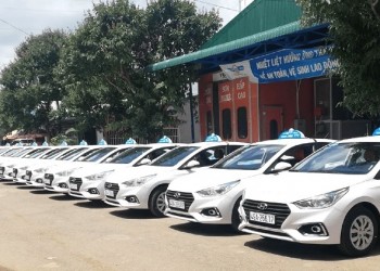 Top 10 Hãng Taxi Quy Nhơn: Chất lượng dịch vụ tốt, giá cước hợp lý