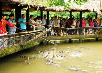 Khám phá 14 địa điểm thơ mộng ven sông Mekong ở Cần Thơ: Chuyến du lịch đầy mê hoặc