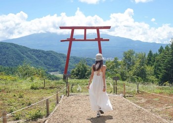 Cổng Torii: Nơi Kết Nối Con Người với Thế Giới Thần Linh Nhật Bản