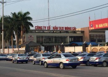 10 Hãng Taxi Quảng Ninh Uy Tín: Số Điện Thoại Mới Nhất