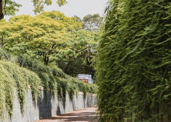 Công viên Fort Canning: Nơi sống ảo đẹp như mơ giữa lòng Singapore