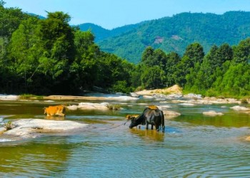 Trốn Nắng Cuối Tuần, Ghé Suối Đá Giăng Đổi Gió – Nơi Bóng Mát Xua Tan Nóng Bức