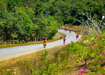 Chinh phục Rừng Mã Đà: Bí quyết cho chuyến đi đáng nhớ và đầy thử thách